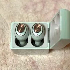 AVIOT TE-D01g トゥルーワイヤレスイヤホン 箱無し