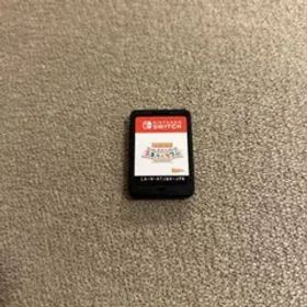 Nintendo Switch 牧場物語 再会のミネラルタウン ソフトのみ