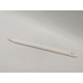 Apple Pencil（USB-C） 中古 5,100円 | ネット最安値の価格比較