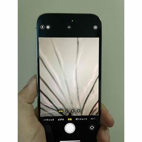 アップル(Apple)のかえるさん確認用 アップル iPhone14 Pro(スマートフォン本体) アップル(Apple)のかえるさん確認用 アップル iPhone14 Pro(スマートフォン本体)