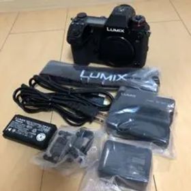 ★Panasonic LUMIX DC-S1