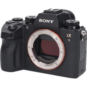 ソニー(SONY)のα９ ＩＬＣＥ－９(デジタル一眼)