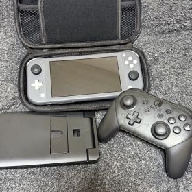 Nintendo Switch Lite グレー 本体+プロコン+付属品