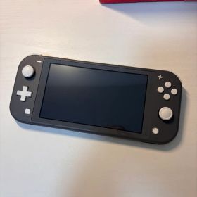 美品 Nintendo Switch Lite グレー本体 純正充電器 即日発送