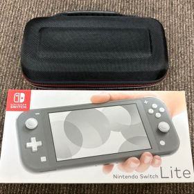 Nintendo Switch Lite グレー ケース付き