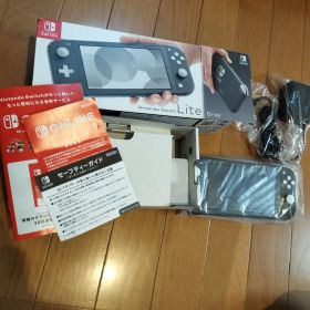 Nintendo Switch Lite グレー 本体 2025