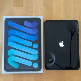 iPad mini 第6世代 256 Celluler 美品