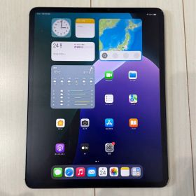 Apple iPad Pro 12.9インチ 第3世代 256GB セルラー