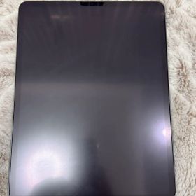 iPad pro 12.9 第4世代256GB