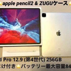 iPad Pro12.9 (第4世代)256GB Gray WiFi＋おまけ