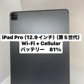 iPad Pro (12.9インチ) 第5世代 70358