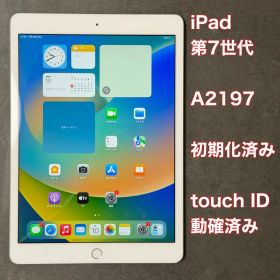 CE345★ iPad 第7世代 A2197 32GB Wi-Fi 初期化済み