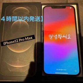 iPhone 12 Pro Max 本体 256GB 【限界値下げ】