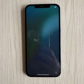 iPhone 12 Promax