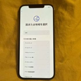 Apple iPhone 12Pro Max 本体