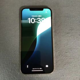 美品 国内版 SIMフリー iPhone12 Pro Max 256GB