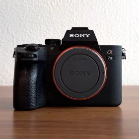 【1万回台】AB判定 SONY α7 III ミラーレス一眼 本体ブラック