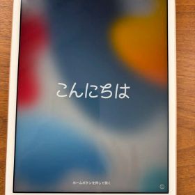 iPad mini 4 32GB Gold Wi-Fi+Cellular 本体