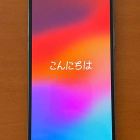 【美品】iPhone13Pro Max256GB SIMフリーバッテリー100%