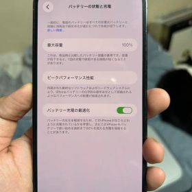 【バッテリー100%】iPhone 13 Pro Max 256GB 本体交換品