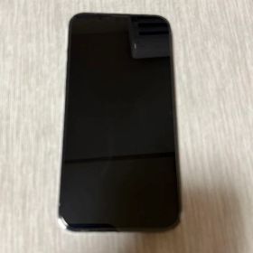 極美品 iPhone13ProMax 256GB シエラブルー SIMフリー
