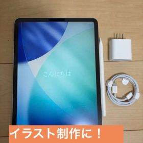 512GB iPad Pro (第2世代) 11インチ、Cellular