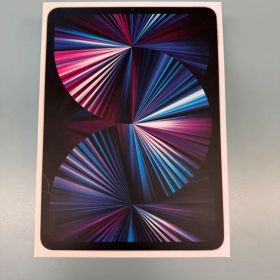 M1 iPad Pro 11インチ 256GB シルバー 純正カバー他付