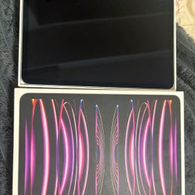 Apple iPad Pro 11インチ256gb本体第4世代