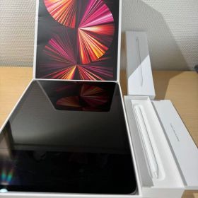 Apple iPad Pro 第3世代11インチ Apple pencilセット