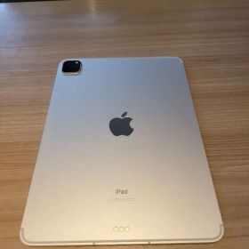 iPad Pro 第3世代 11インチ 256GB スペースグレイ