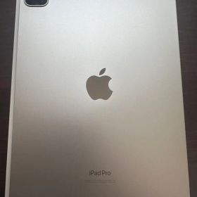 【即購入OK】Apple iPad Pro 第4世代 11インチ 256gb