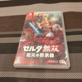 ゼルダ無双 厄災の黙示録 Nintendo Switch 動作確認済み