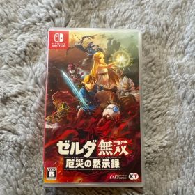 ゼルダ無双 厄災の黙示録 Nintendo Switch
