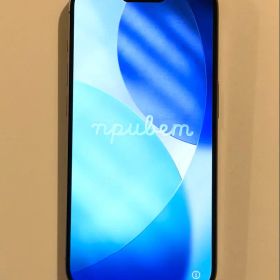 Apple iPhone 15 Pro シルバー 本体