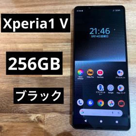 Xperia 1 V au 中古 48,999円 | ネット最安値の価格比較 プライスランク