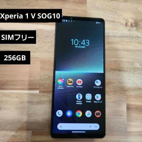 Xperia 1 V 256GB au 中古 51,980円 | ネット最安値の価格比較
