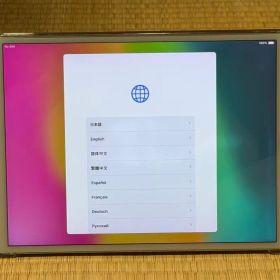 iPad pro 10.5 WiFi+Cellular 512GB SIMフリー