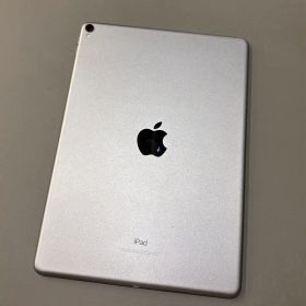 【ジャンク】iPad pro 10.5インチ 256GB Apple 本体のみ