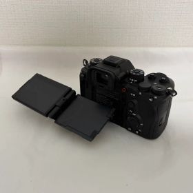 Sony α9III TAMRON 50-400mm F/4.5-6.3