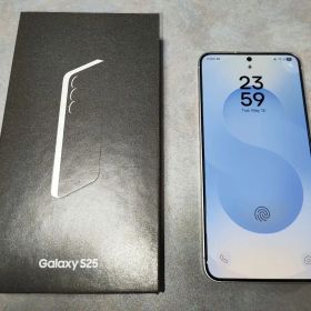 【極美品】Samsung Galaxy S25 韓国版 12GB/256GB