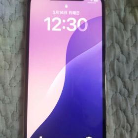 Apple iPhone 12 Pro 256GB SIMロックなし