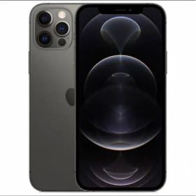 iPhone 12 pro グラファイト 256 GB docomo