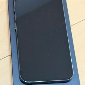 Apple iPhone 13 Pro 128GB アルパイングリーン 本体