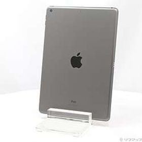 iPad 第9世代 256GB スペースグレイ Wi-Fi ［10.2インチ液晶／A13-Bionic］