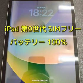 iPad 第9世代 SIMフリー 64GB バッテリー100％