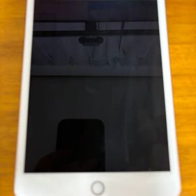 iPad mini Wi-Fiモデル 第5世代 256gb ゴールド 本体 備品
