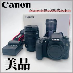【美品】Canon EOS 70D 18-135 純正キット/ショット数4828