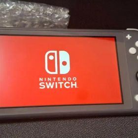 Nintendo Switch Lite HDH-001 本体のみ 動作確認済