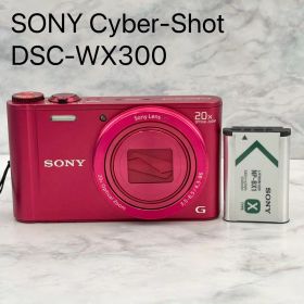 【ジャンク品】 SONY Cyber-Shot DSC-WX300 レッド