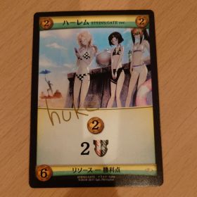 【値下げ交渉可能】DOMINION シュタゲ ハーレム STEINS;GATE